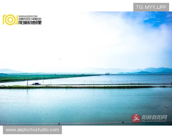 单机老虎机无限币下载：最新无限币破解版本下载及使用教程