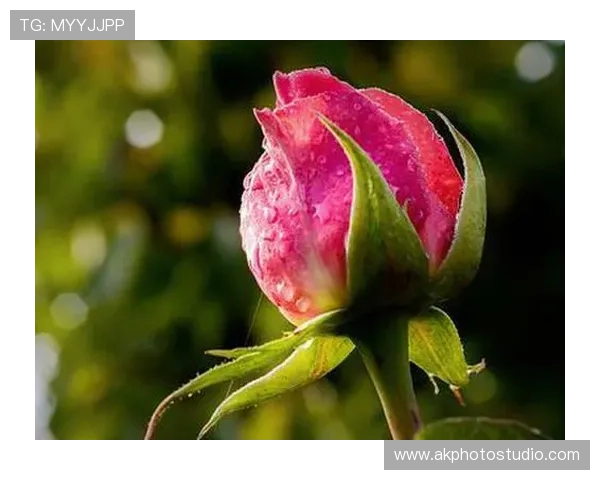 老虎机怎么压能出大满贯有哪些有效的策略提升中奖几率