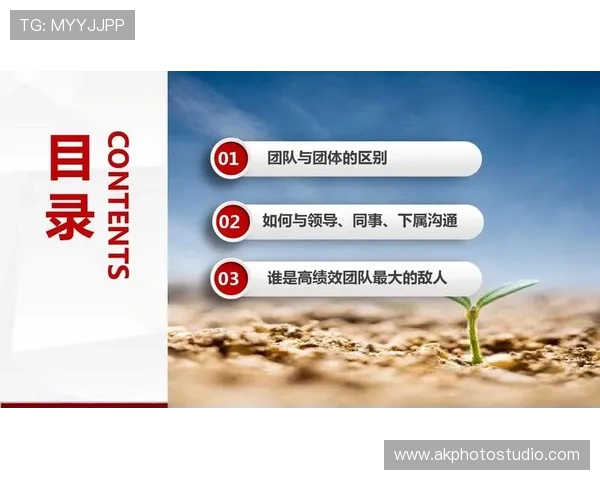 企业如何利用电子娱乐增强团队凝聚力与员工满意度